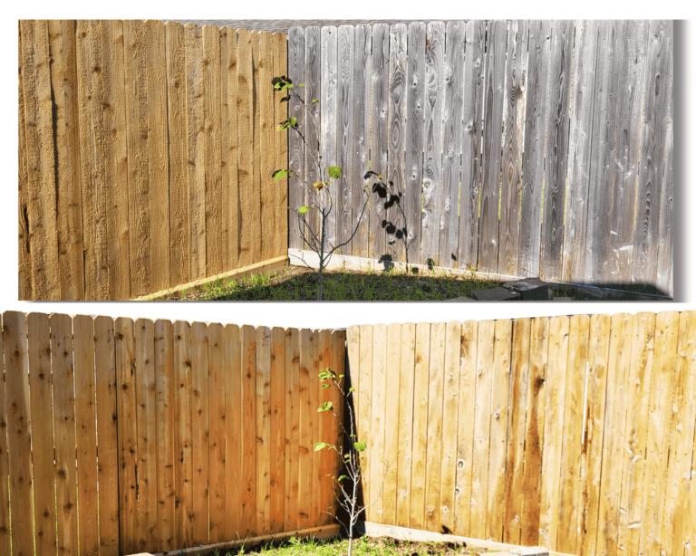 Fence Cleaning